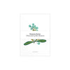Seasons Series Art Four Postcard Pack at Albert & Moo