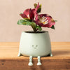 Happy Plant Pot with a plant on a wooden surface against a beige background
