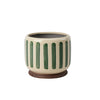 Green Stripe Plant Pot at Albert & Moo