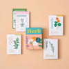 Herb Care Cards by Another Studio at Albert & Moo