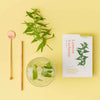 Herb Care Cards, gifts for plant lovers at Albert & Moo