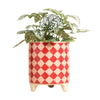 Pink and Red Checkerboard Mini Indoor Plant Pot with House Plant at Albert & Moo