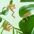 Frog, Chameleon & Sloth Plant Animals,by Another Studio at Albert & Moo - Gifts for Plant Lovers