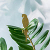 Brass Animal Plant Decoration Parrot at Albert & Moo for great plant gifts