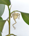 Plant Animal Frog by Another Studio at Albert & Moo