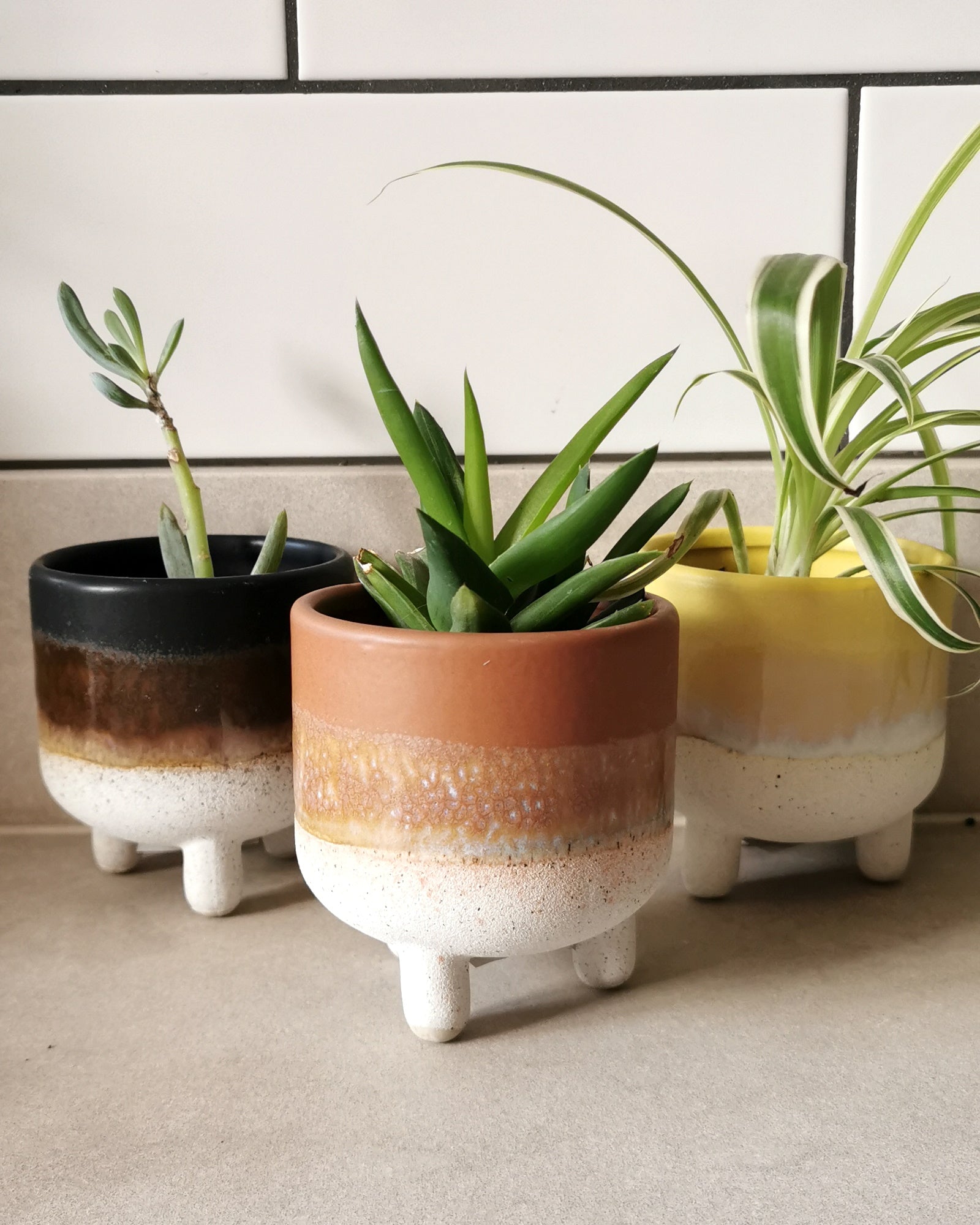 mojave indoor plant Terracotta Mojave Glaze Plant Pot